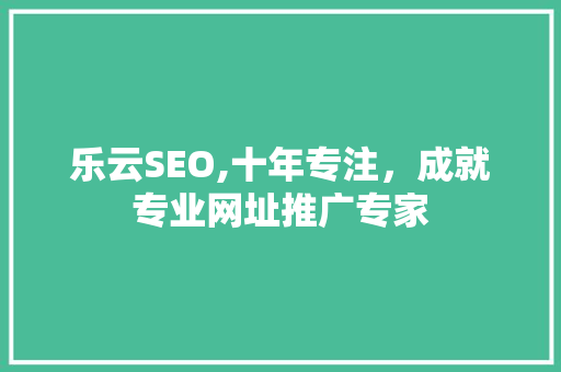 乐云SEO,十年专注，成就专业网址推广专家