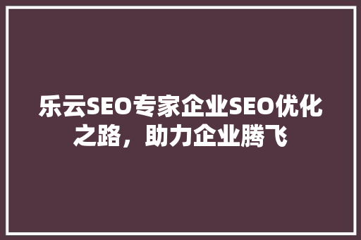 乐云SEO专家企业SEO优化之路，助力企业腾飞