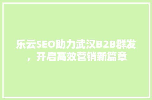 乐云SEO助力武汉B2B群发，开启高效营销新篇章