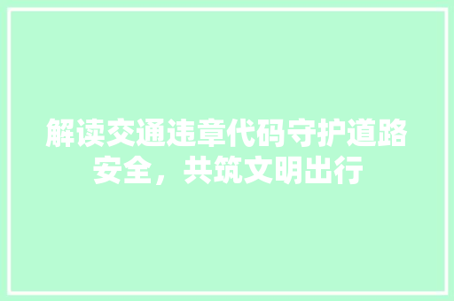 解读交通违章代码守护道路安全，共筑文明出行