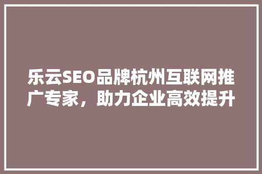 乐云SEO品牌杭州互联网推广专家，助力企业高效提升网络影响力