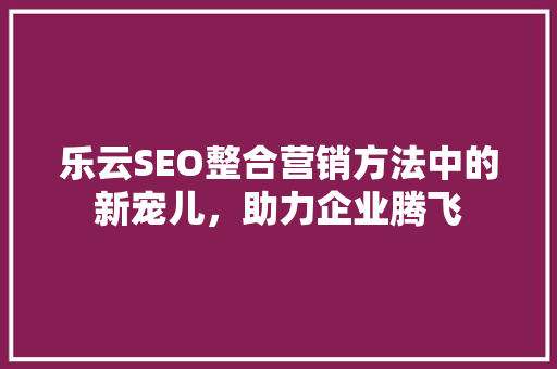 乐云SEO整合营销方法中的新宠儿，助力企业腾飞