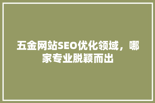 五金网站SEO优化领域，哪家专业脱颖而出