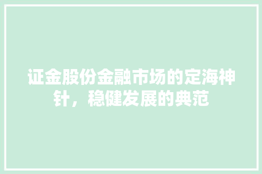 证金股份金融市场的定海神针，稳健发展的典范