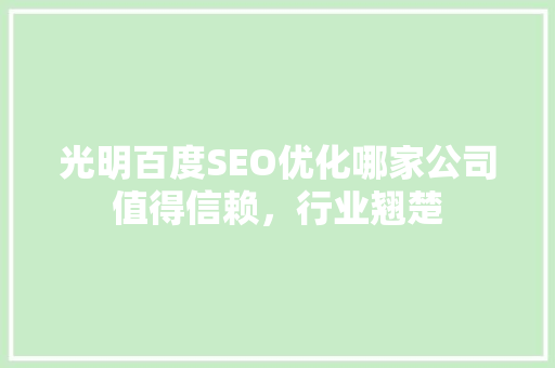 光明百度SEO优化哪家公司值得信赖，行业翘楚