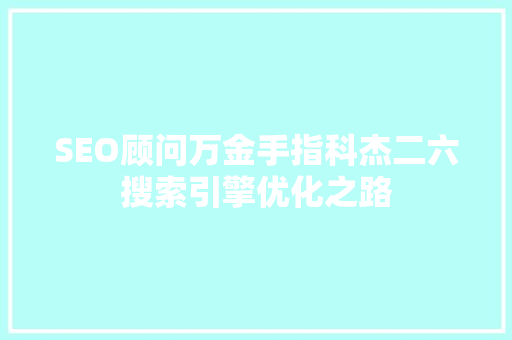 SEO顾问万金手指科杰二六搜索引擎优化之路