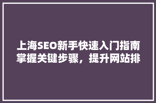 上海SEO新手快速入门指南掌握关键步骤，提升网站排名