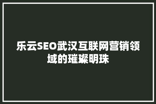 乐云SEO武汉互联网营销领域的璀璨明珠