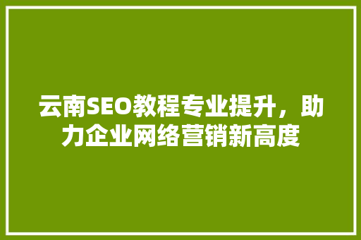 云南SEO教程专业提升，助力企业网络营销新高度