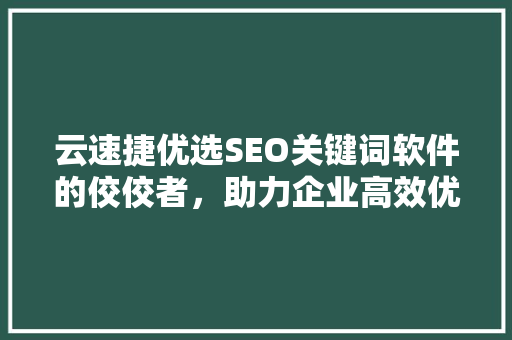 云速捷优选SEO关键词软件的佼佼者，助力企业高效优化