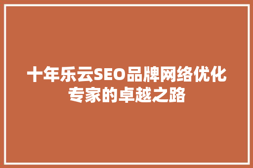 十年乐云SEO品牌网络优化专家的卓越之路