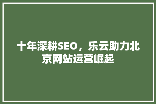 十年深耕SEO，乐云助力北京网站运营崛起
