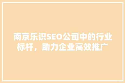 南京乐识SEO公司中的行业标杆，助力企业高效推广