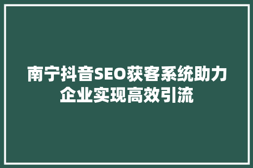 南宁抖音SEO获客系统助力企业实现高效引流