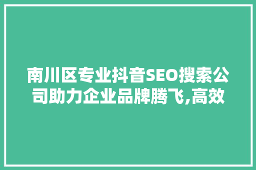 南川区专业抖音SEO搜索公司助力企业品牌腾飞,高效抖音营销之路
