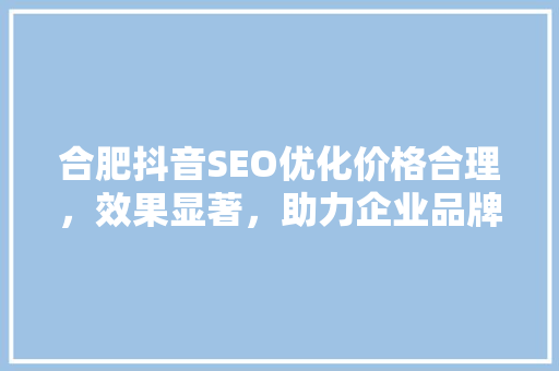 合肥抖音SEO优化价格合理，效果显著，助力企业品牌腾飞