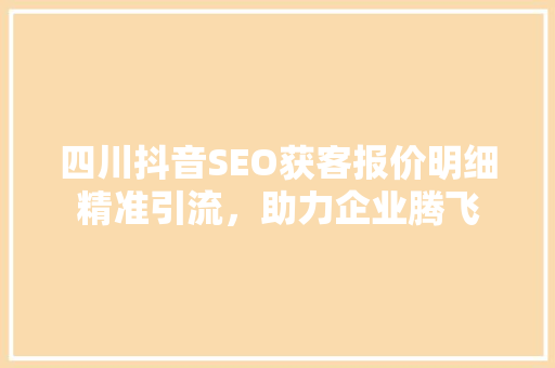 四川抖音SEO获客报价明细精准引流，助力企业腾飞