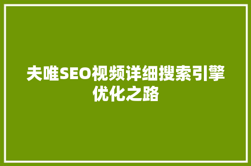夫唯SEO视频详细搜索引擎优化之路
