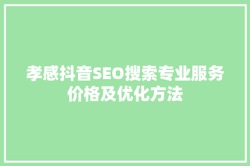 孝感抖音SEO搜索专业服务价格及优化方法