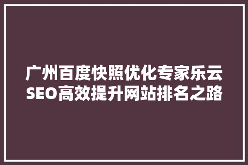 广州百度快照优化专家乐云SEO高效提升网站排名之路