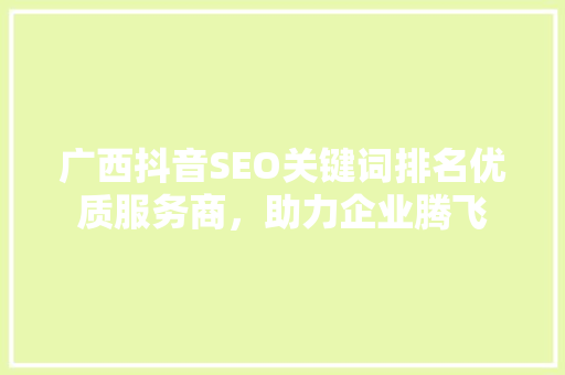广西抖音SEO关键词排名优质服务商，助力企业腾飞