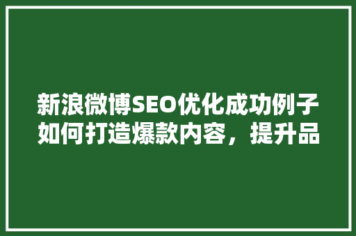 新浪微博SEO优化成功例子如何打造爆款内容，提升品牌影响力