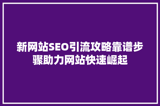 新网站SEO引流攻略靠谱步骤助力网站快速崛起