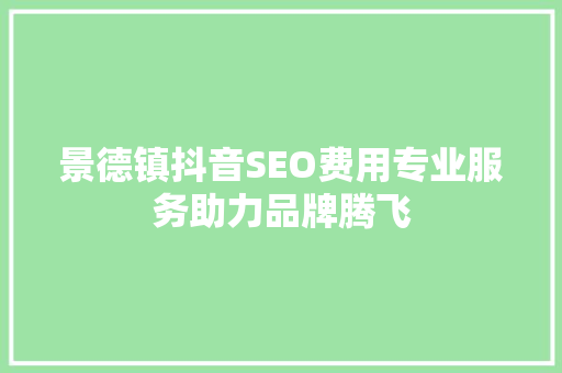 景德镇抖音SEO费用专业服务助力品牌腾飞