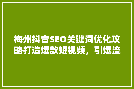 梅州抖音SEO关键词优化攻略打造爆款短视频，引爆流量