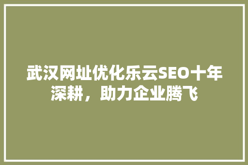 武汉网址优化乐云SEO十年深耕，助力企业腾飞