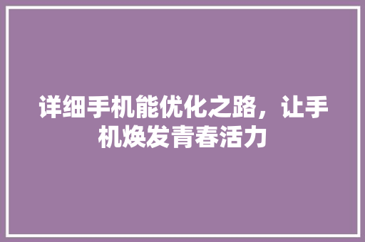 详细手机能优化之路，让手机焕发青春活力
