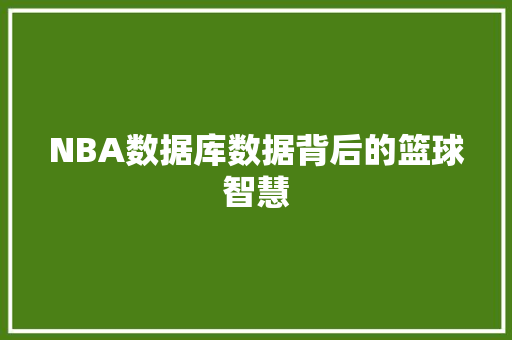 NBA数据库数据背后的篮球智慧