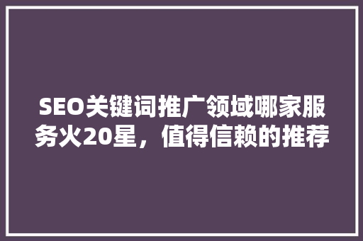 SEO关键词推广领域哪家服务火20星，值得信赖的推荐