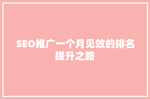 SEO推广一个月见效的排名提升之路