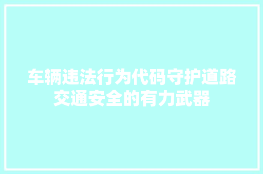 车辆违法行为代码守护道路交通安全的有力武器