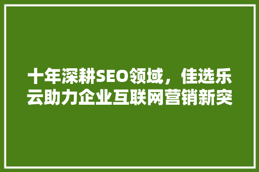 十年深耕SEO领域，佳选乐云助力企业互联网营销新突破
