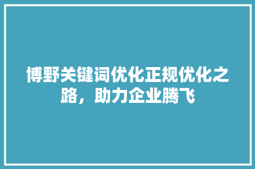 博野关键词优化正规优化之路，助力企业腾飞