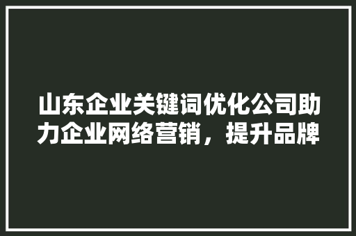 山东企业关键词优化公司助力企业网络营销，提升品牌影响力
