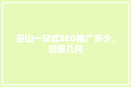 巫山一站式SEO推广多少，回报几何