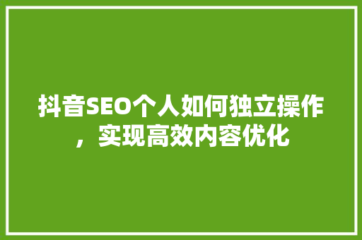 抖音SEO个人如何独立操作，实现高效内容优化