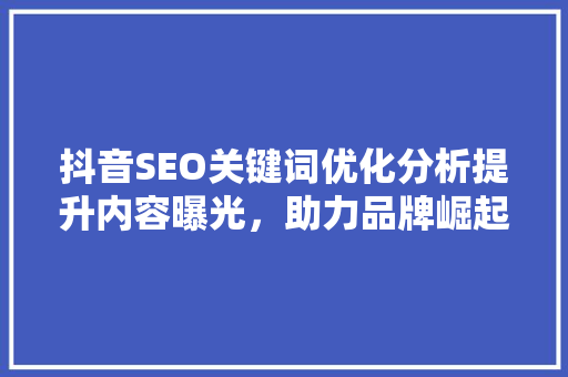 抖音SEO关键词优化分析提升内容曝光，助力品牌崛起