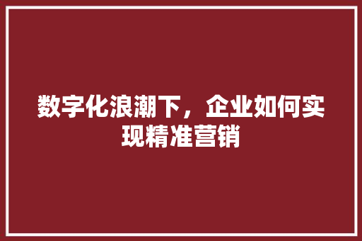 数字化浪潮下，企业如何实现精准营销