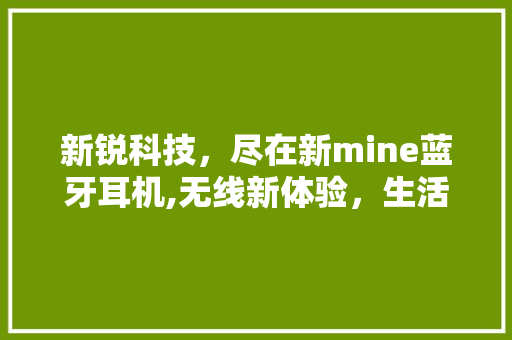 新锐科技，尽在新mine蓝牙耳机,无线新体验，生活新境界