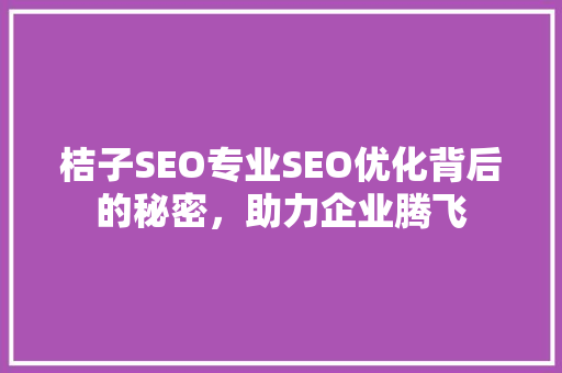 桔子SEO专业SEO优化背后的秘密，助力企业腾飞