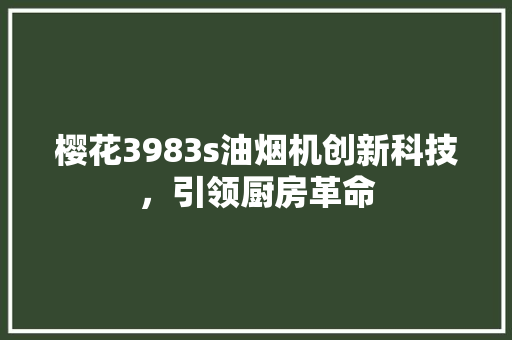 樱花3983s油烟机创新科技，引领厨房革命