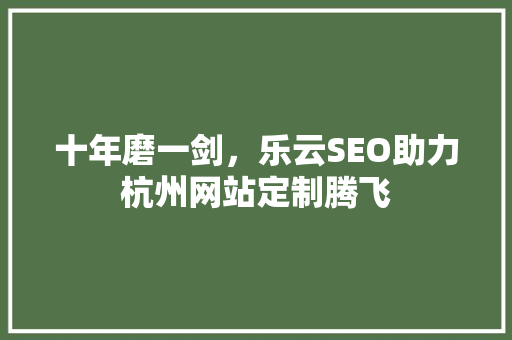十年磨一剑，乐云SEO助力杭州网站定制腾飞