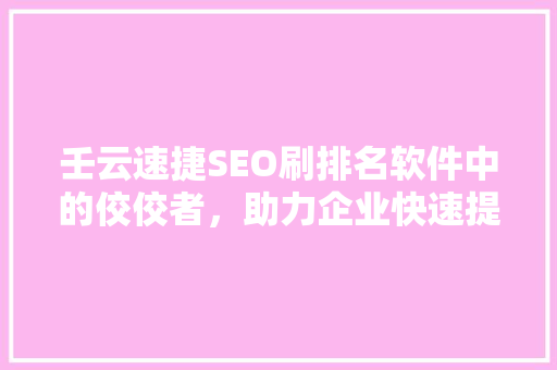 壬云速捷SEO刷排名软件中的佼佼者，助力企业快速提升网站流量