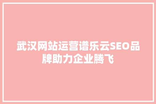 武汉网站运营谱乐云SEO品牌助力企业腾飞