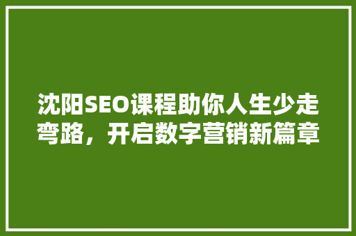 沈阳SEO课程助你人生少走弯路，开启数字营销新篇章