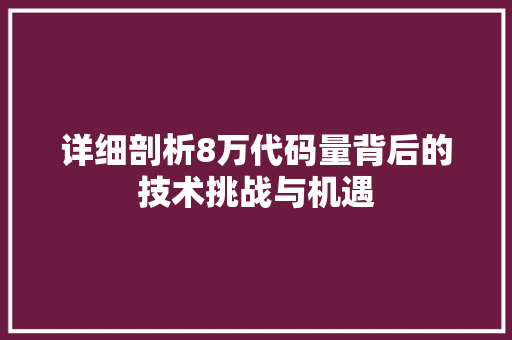 详细剖析8万代码量背后的技术挑战与机遇